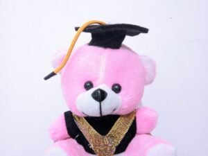 Pink Graduation Doll
